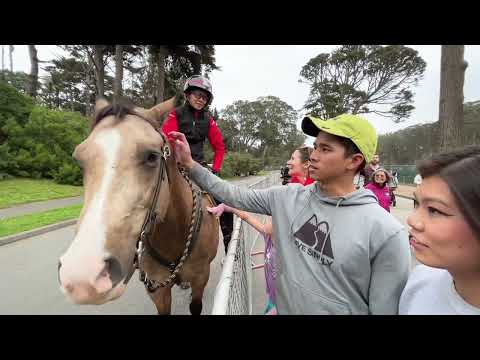 Elvis Costello & the Music of Talking Heads 🎶 Hardly Strictly Bluegrass 2022