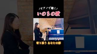 歌詞が胸に響く、いのちの歌 #竹内まりや #ピアノ