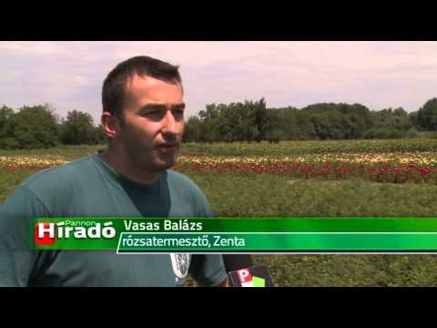 2015 07 28 Aki a virágot szereti...