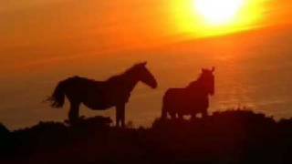 los cadetes de linares-cuando regreses