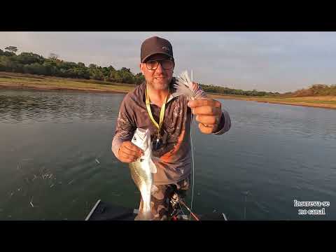 Pescaria de tucunaré e corvina na xuxinha Guaraci São Paulo 