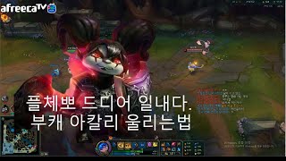썸네일 이미지