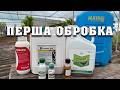 Перша обробка винограду від грибкових захворювань та шкідників. Профілактика в фазі 3-5 листка