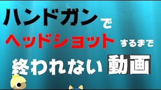 ハンドガンでヘッドショットするまで終われない動画　by 04のシージ日記
