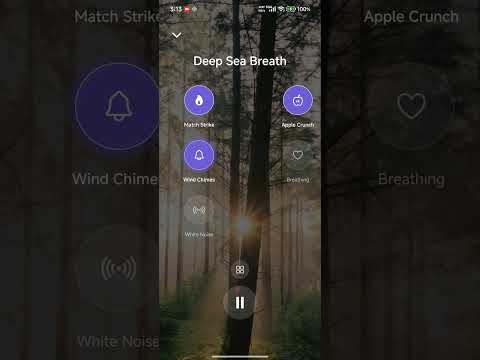 Sound Meditation