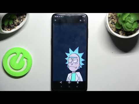 How to Find Downloaded Files on NOKIA G11 - Find Downloads Folders