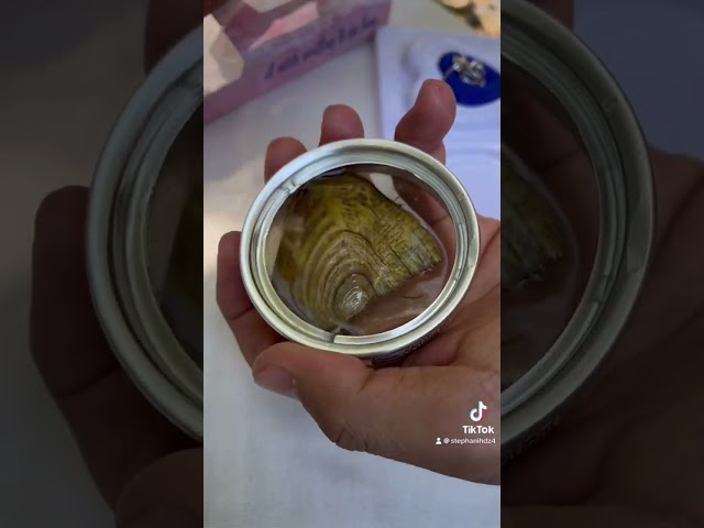 Vídeo relacionado con iSpchen Cáscara - Perla Con Cadena, Collar Creativo Caja Oyster Pearl Jaula Colgante Cadena Navidad Año Nuevo Regalo de Cumpleaños Para Esposa Madre Hija