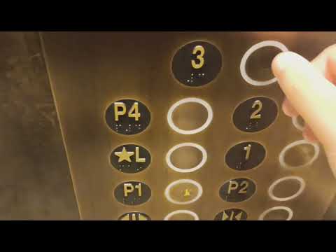 Montgomery traction elevators at Nordstrom at The Westchester mall (White Plains, NY)