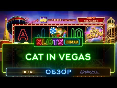 Cat in Vegas