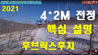 이렇게 해보자ㆍ수세 쎈 3년차ㆍ 4*2M, 후브락스ㆍ썸머프린스 사과