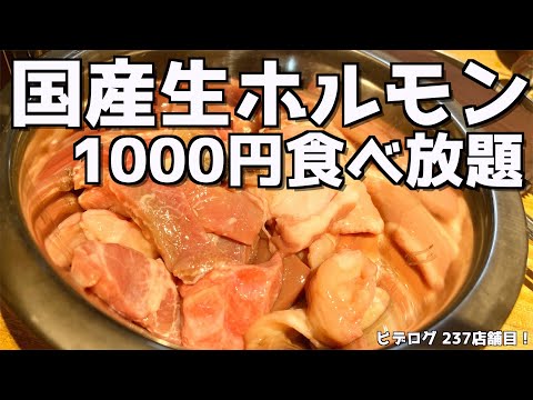 [Todo lo que puedas comer hormona yakiniku] ¡La hormona producida en el país sin congelación es la mejor relación calidad-precio!
