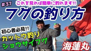 【フグ釣り超入門】【初心者でも釣れる】ショウサイフグ【カットウ釣り】