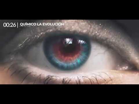 E2 Doctor - Olas del mar ft. Químico La Evolución