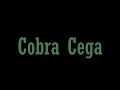 Bonde do Tigrão e Os Saradinhos - Cobra Cega Cavuca