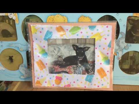 In Loving Memory Of Sasha & Sam Forever You Both Will Be In My Heart