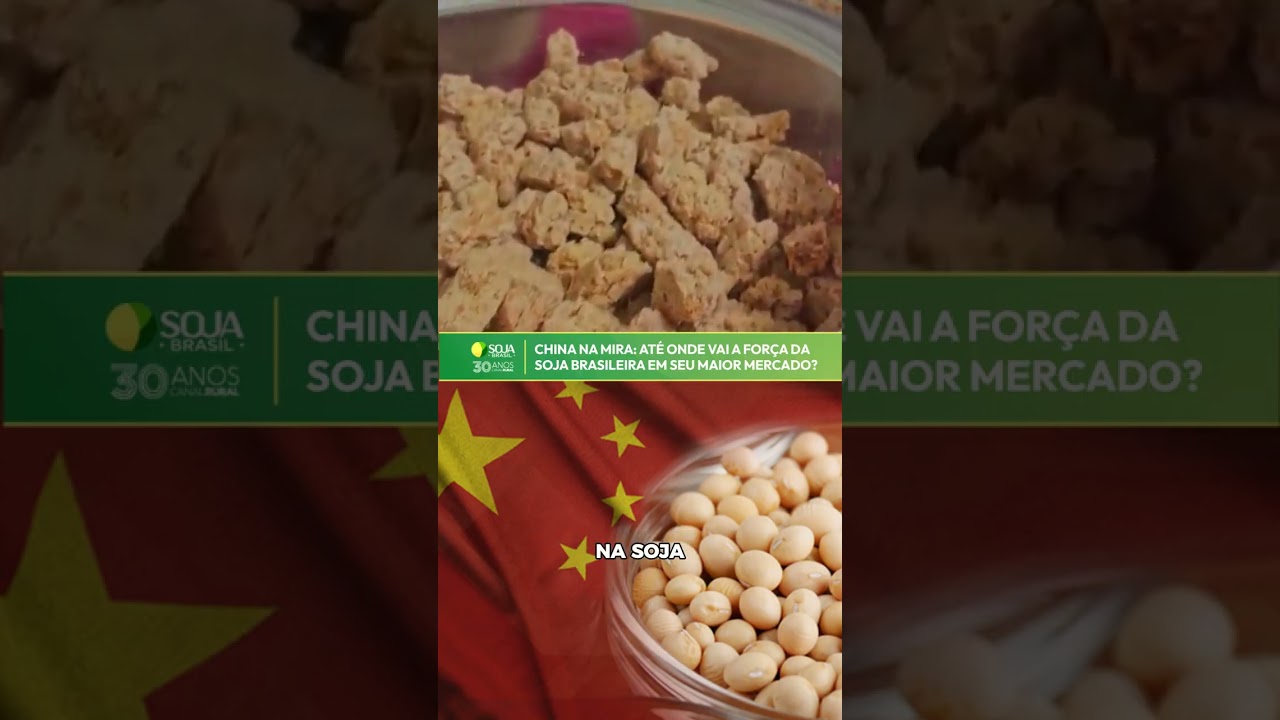 China na mira: até onde vai a força da soja brasileira em seu maior mercado?