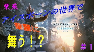 【MHWアイスボーンベータテスト】ナルガクルガ討伐に挑んだ結果！