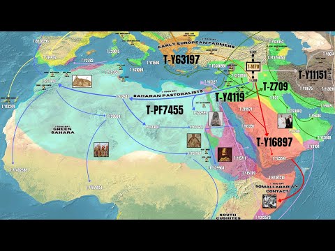 The Biblical and Academic Origins of Y-DNA Haplogroup T