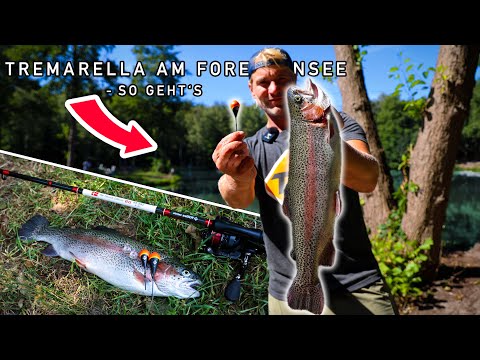 Tremarella am Forellensee | SO geht's! Erfolgreich mit Pose und Glas auf Forelle angeln