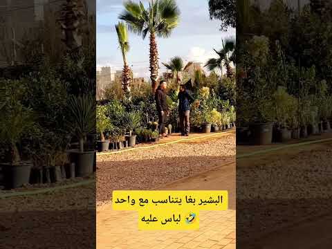 البشير بغا يتناسب مع واحد لباس عليه مقلب للضحك 🤣🤣