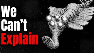 The Time The Earth Was Ruled By Giant Violent Shrimp