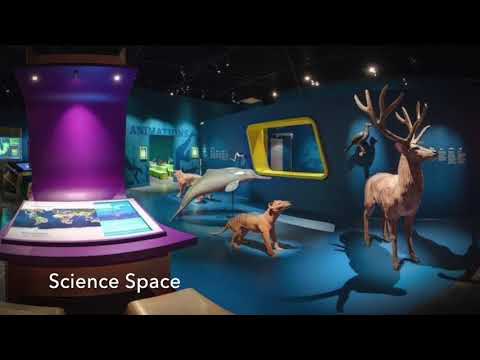 Rennes 1   Anglais video