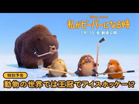 特別予告｜動物の世界では王冠でアイスホッケー⁉