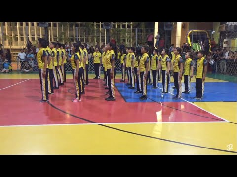 Desbravadores Arco-Íris - Evolução 2018