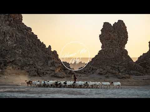 Michel Berger - La Groupie Du Pianiste (Barry & Gibbs Edit)