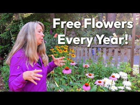 18 Cottage Garden Flowers That Reseed Themselves Every Year!