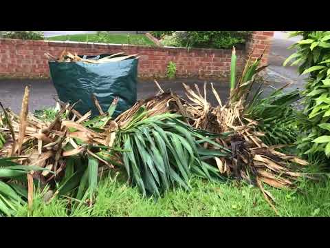 Polar Lawn Care video.
