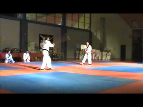 HAPKIDO ΑΓΣ ΚΑΛΛΙΠΟΛΗΣ (ΑΝΤΟNIS PAPPAS)