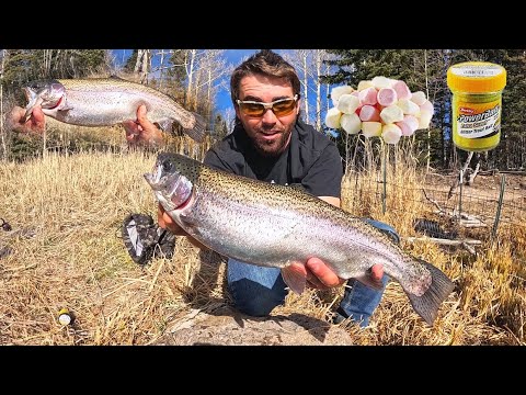 Powerbait Vs. Mini Marshmallows Trout Fishing Challenge!! CATCH & COOK