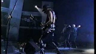 Iggy Pop - Cold Metal / I Wanna Be Your Dog (live)