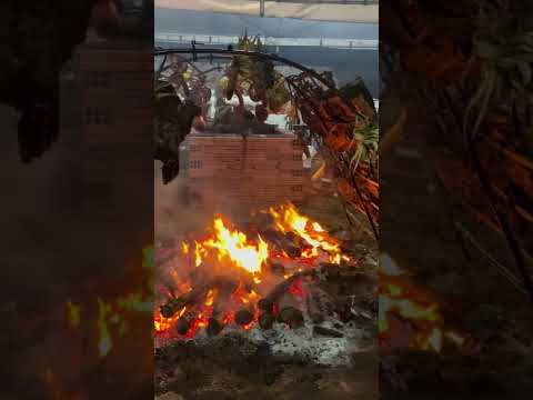 São Francisco de Goiás inaugurou uma grande obra, que mereceu uma grande festa!🚏🚌