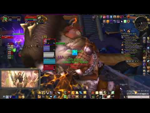 Ankahet WOTLK Prot Paladin POV fast pulls