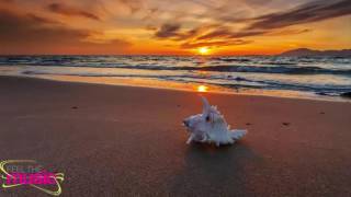 Haywyre - Do You Don't You