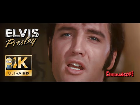 Elvis Presley AI 4K Enhanced ⭐UHD⭐ - Clean Up Your Own Back Yard  1969