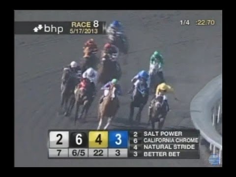 California Chrome - 2013 Hollywood Park Maiden Race