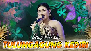 Download lagu Tulungagung Kediri - Shepin Misa | New Andrena mp3