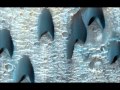 Leonard Nimoy - Consilium 