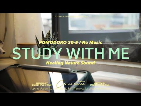1.5-HOUR STUDY WITH ME at Sunset / Healing Nature Sound🌿/ Summer Day / Pomodoro 30-5