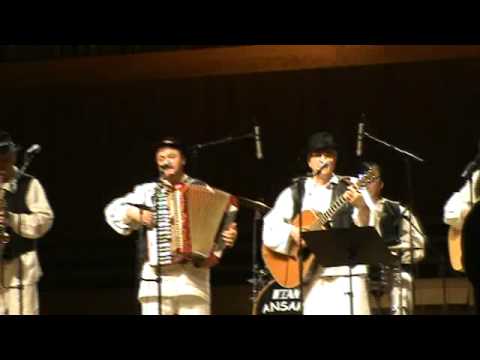 VESELI OREHOVČANI U LISINSKOM 1.02.2009. - TU SEM SE RODIL