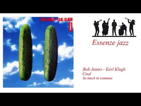 03 So much in common