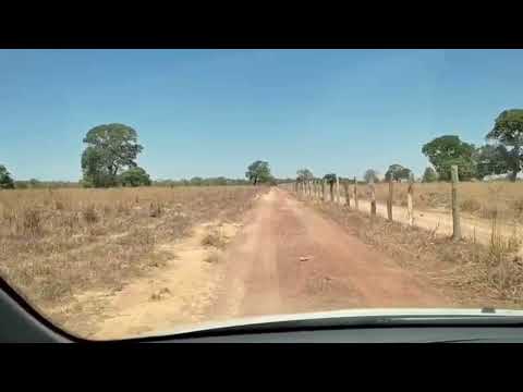 Fazenda no Município de Sucupira - TO, com área de 120, Ha código do imóvel: 1114