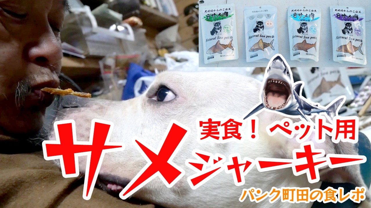 実食！ペット用サメジャーキー