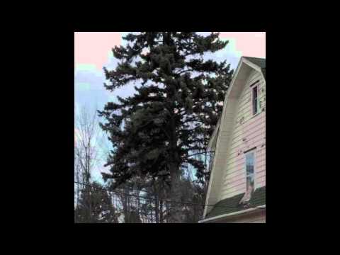 Bones, Drew The Architect, & Cat Soup - Slán [Full Album]