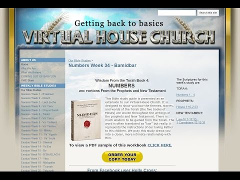 VHC Week 34 - Torah Portion: Bamidbar (In the wilderness)