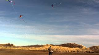 preview picture of video '2 kite Jim at Hampton Beach NH 12-23-11'