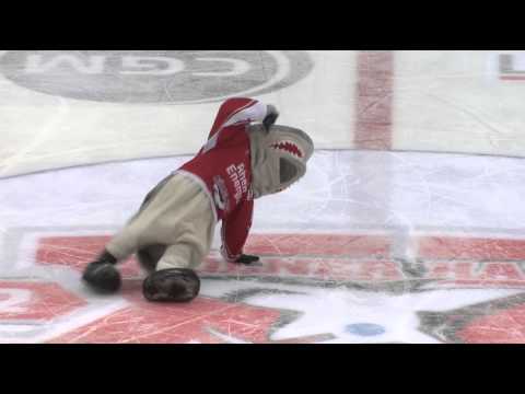 Sharky Dance - Party Animal